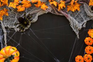 Creepy Crawling Spider Webs