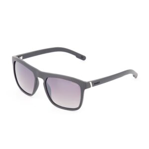 Klassieke Wayfarers